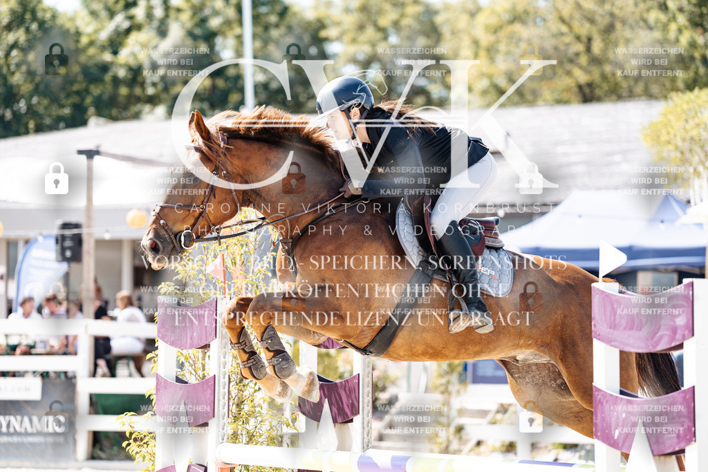 CK909225 | Turnierfotografie Pferdefotografie Trier Rheinland-Pfalz Pferdesport Reitsport Tierfotografie Sportfotografie Pferdevideo Pferdevideografie Equestrianvideography equestrianphotography  - Realisiert mit Pictrs.com