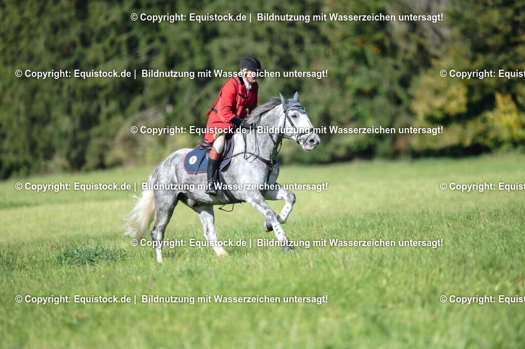 20251011_Jagd-Marbach_0227 | Foto: Thomas Hartig