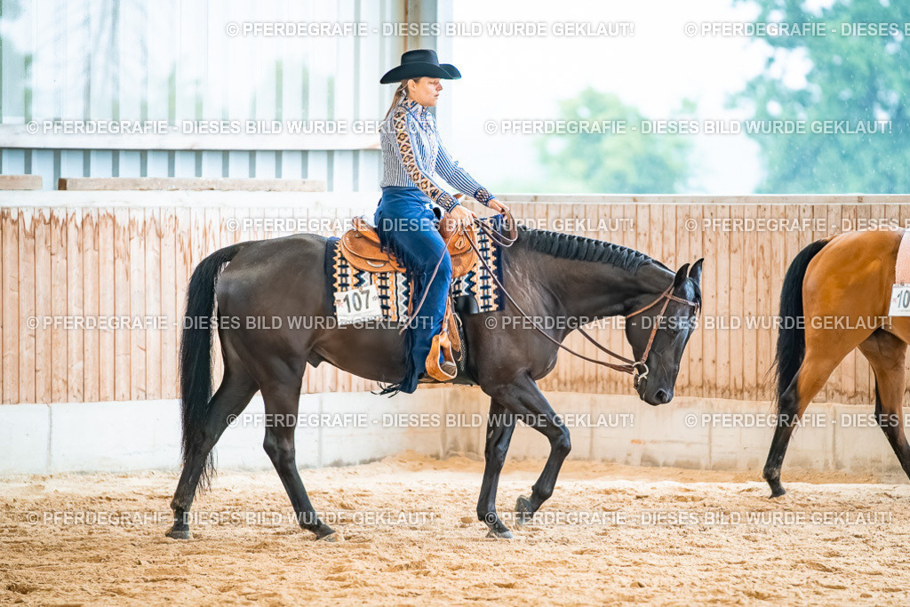 DSC00552 | Pferdegrafie