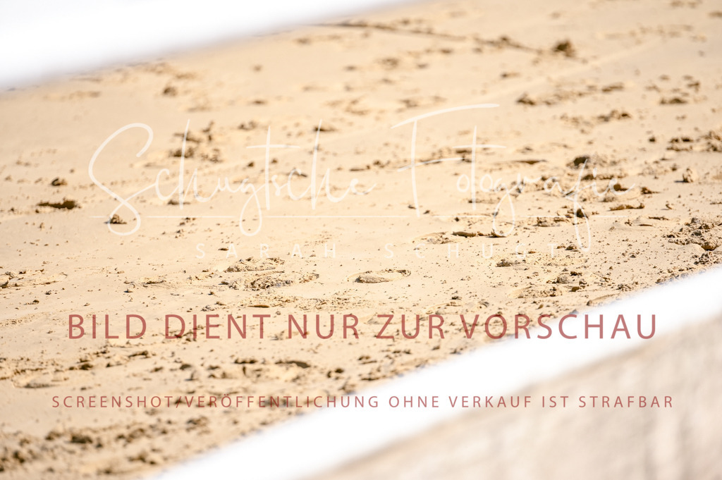 Schugtsche-Aluta25-52.Dressurprf.M2Kand-414 | Schugtsche Fotografie - Realisiert mit Pictrs.com