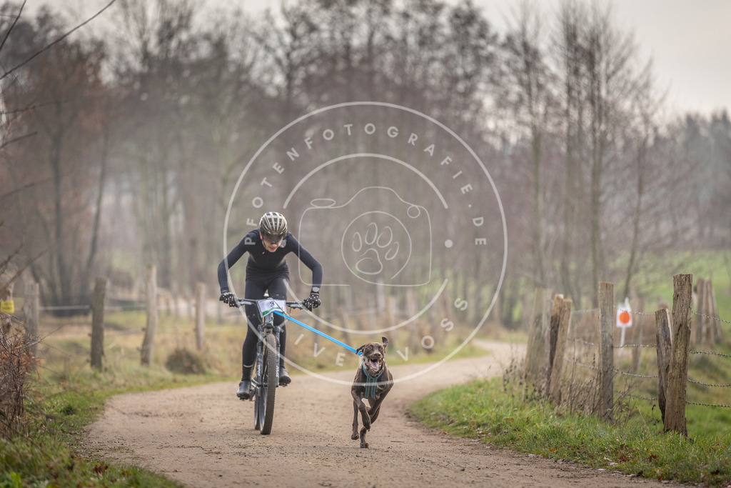 Pfotenfotografie_DV3A1541 | Hundefotografie, Tierfotograf, Pfotenfotografie, Fotoshooting Hund, Hunde Portrait, Hundesport, Hundeportraits, Heideshooting, Hunde, Sportfotograf, Hundefotograf, Turnierhundsport, THS,  - Realisiert mit Pictrs.com