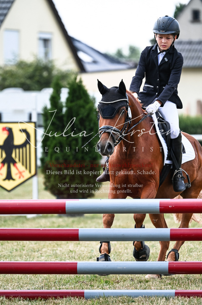 DSC_9063 | Pferde- und Turnierfotografie in Westsachsen. Pferdeportraits, Auftragszeichnungen und intuitive Kunst.