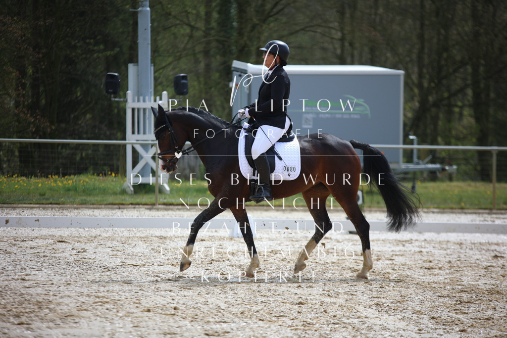 IMGT2600 | pl-fotografie