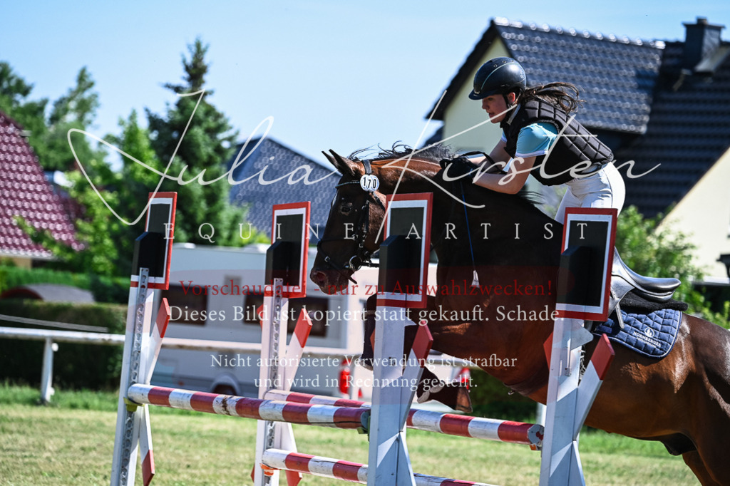 DSC_1502 | Pferde- und Turnierfotografie in Westsachsen. Pferdeportraits, Auftragszeichnungen und intuitive Kunst.