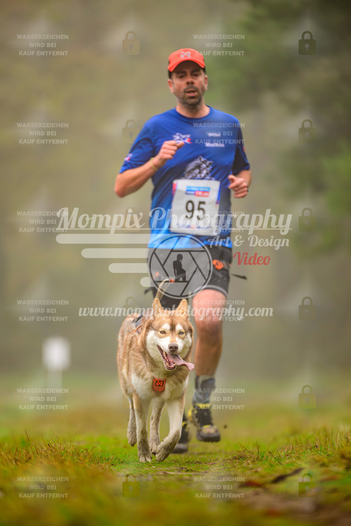 MompixPhotography_Bischwiller2025_Canicross-72 | mompixphotography