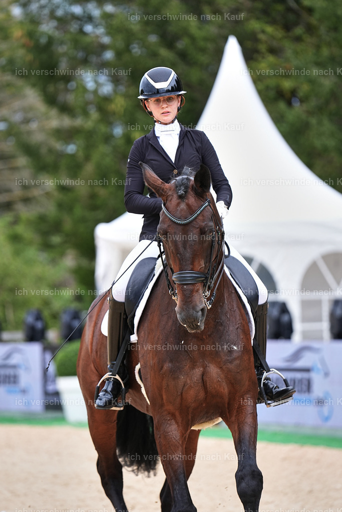 04_1-022-Dressur M__ -Marixx-2771 | working equitationturnier fotograf videograf stoibphotography marixx film working equitation deutschland reitsport turnierfotografie eventfotografie equestrian events
