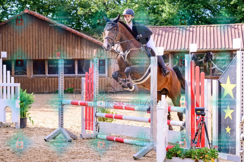 30082026-Giesenbach-Prfg16-0481 | Fokus Hufschlag Fotografie - Realisiert mit Pictrs.com
