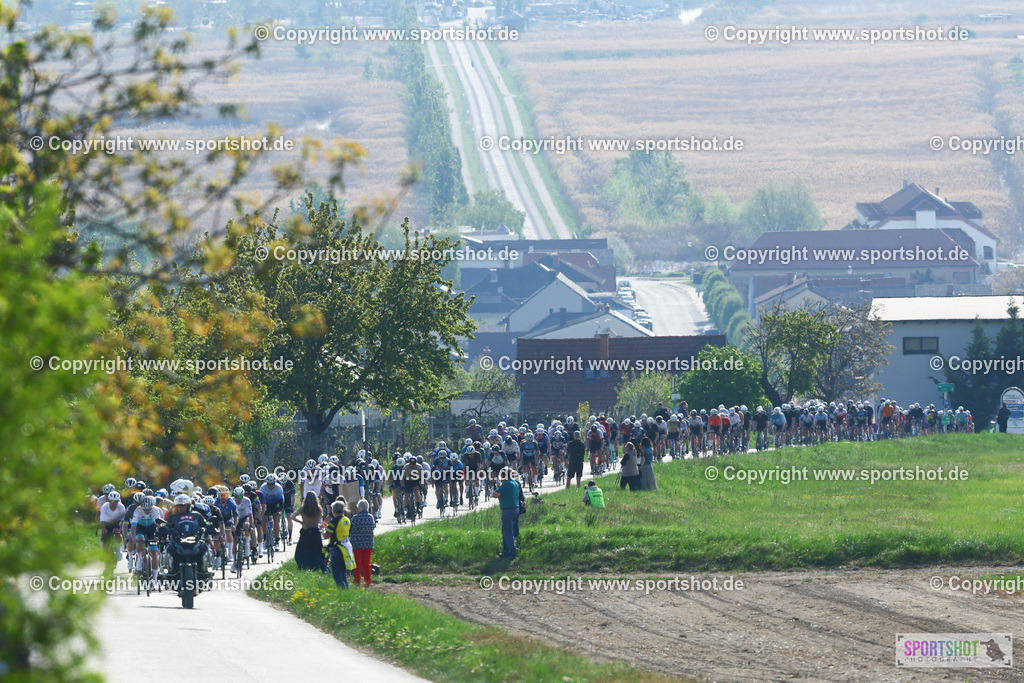 138_TRA55274 | Neusiedlersee Radmarathon 2026@sportshot_your_pictrs #yourpictures#roadtowm2029 #nrm #neusiedlerseeradmarathon #neusiedlersee #neusiedlerseetourismus #burgenland #mörbisch #nrm26 #burgenlandtourismus #voglundco #poweredbyburgenlandtourismus #radsport #rad #marathon #ucigranfondo #visitburgenland #ucigranfondoworldseries
