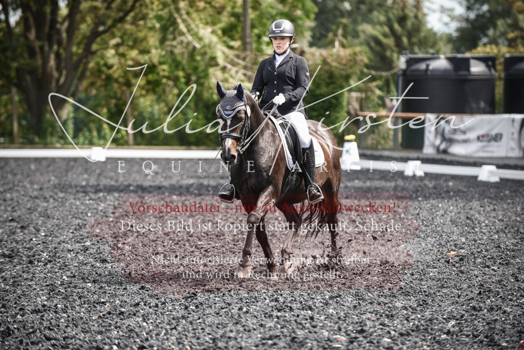 DSC_5089 | Pferde- und Turnierfotografie in Westsachsen. Pferdeportraits, Auftragszeichnungen und intuitive Kunst.