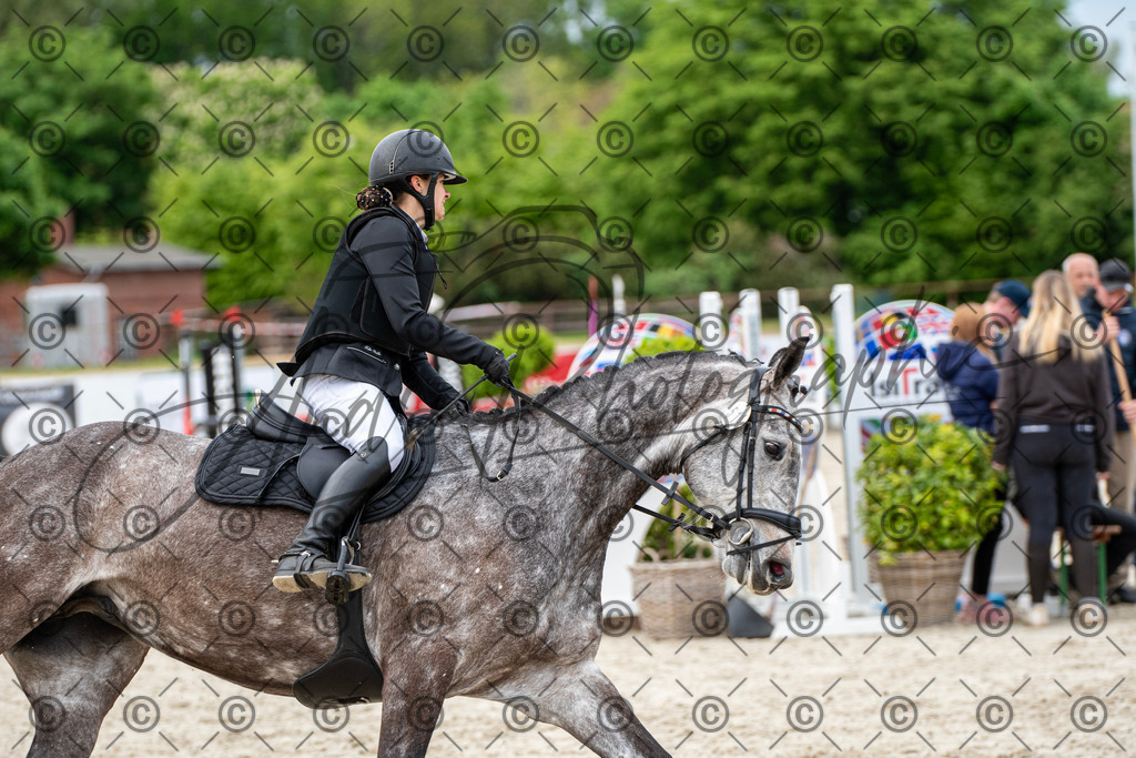 KPT_7281 | andre_photographic