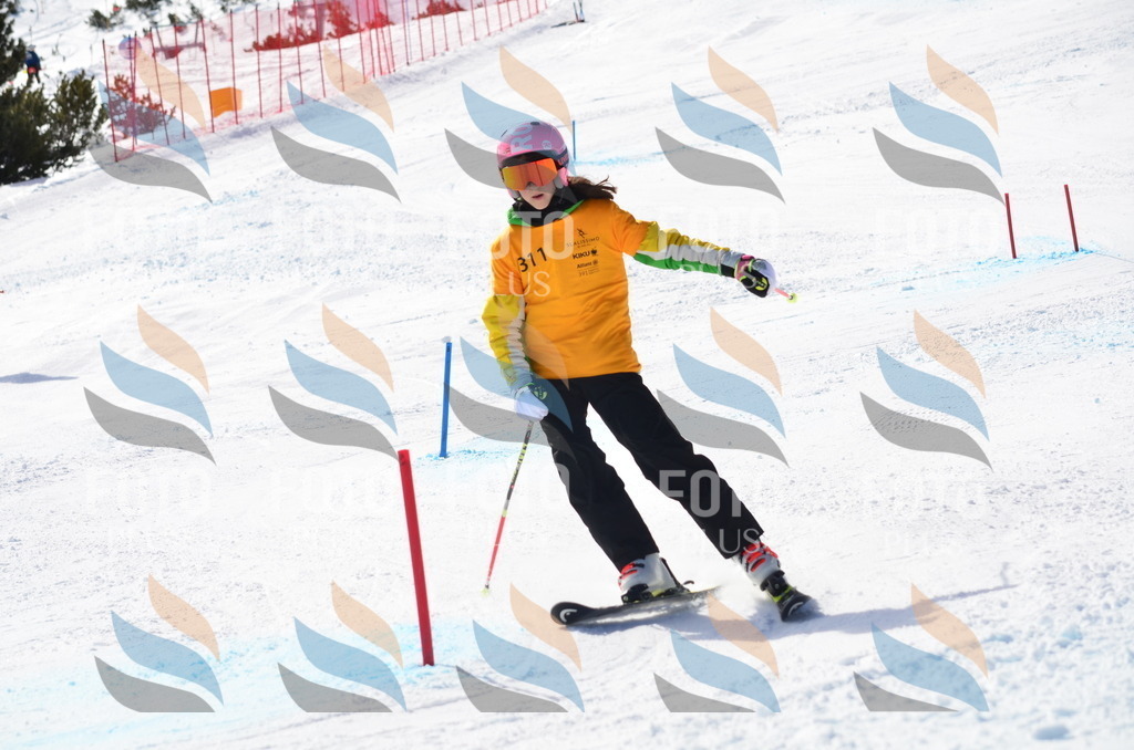 C9530 | holidayphoto