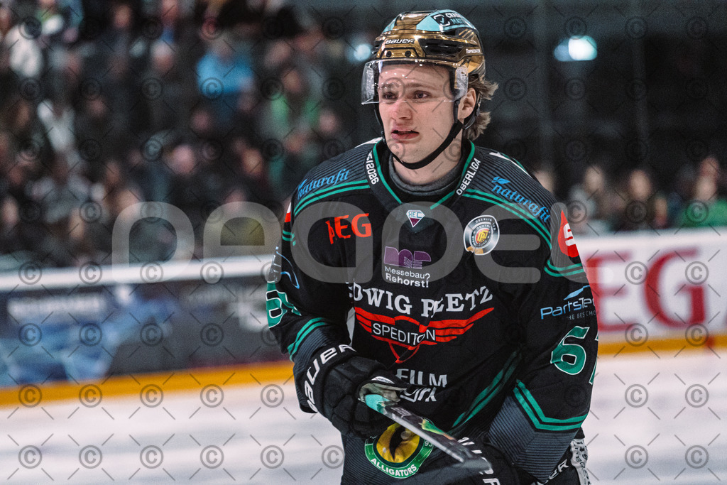Alligators_vs_Selb_27_02_2026-5 | Höchstadt Alligators Fotogalerie: Eishockey-Action aus Franken. Professionelle Spielfotos, Portraits & Stadionbilder zum Download. Jetzt entdecken! - Realisiert mit Pictrs.com