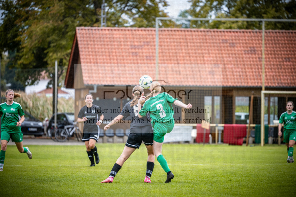 SG Bohmte/Ostercappeln/Schwagstorf - SG Hollenstede / Schwagstorf | Fr.-BZL Weser-Ems Süd · 1. Damen - SG Hollenstede / Schwagstorf · Sportplatz - Realisiert mit Pictrs.com