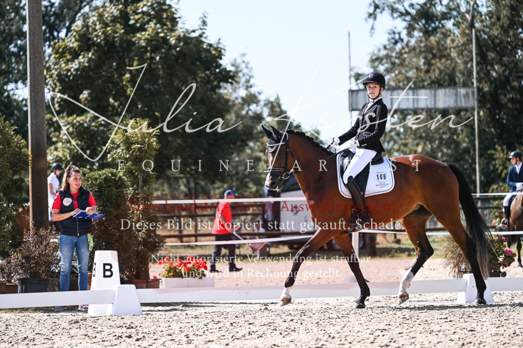 DSC_5043 | Pferde- und Turnierfotografie in Westsachsen. Pferdeportraits, Auftragszeichnungen und intuitive Kunst.