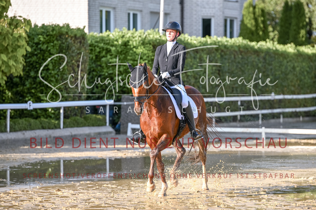 Schugtsche-Aluta25-54.Dressurprf.L1Trense-258 | Schugtsche Fotografie - Realisiert mit Pictrs.com