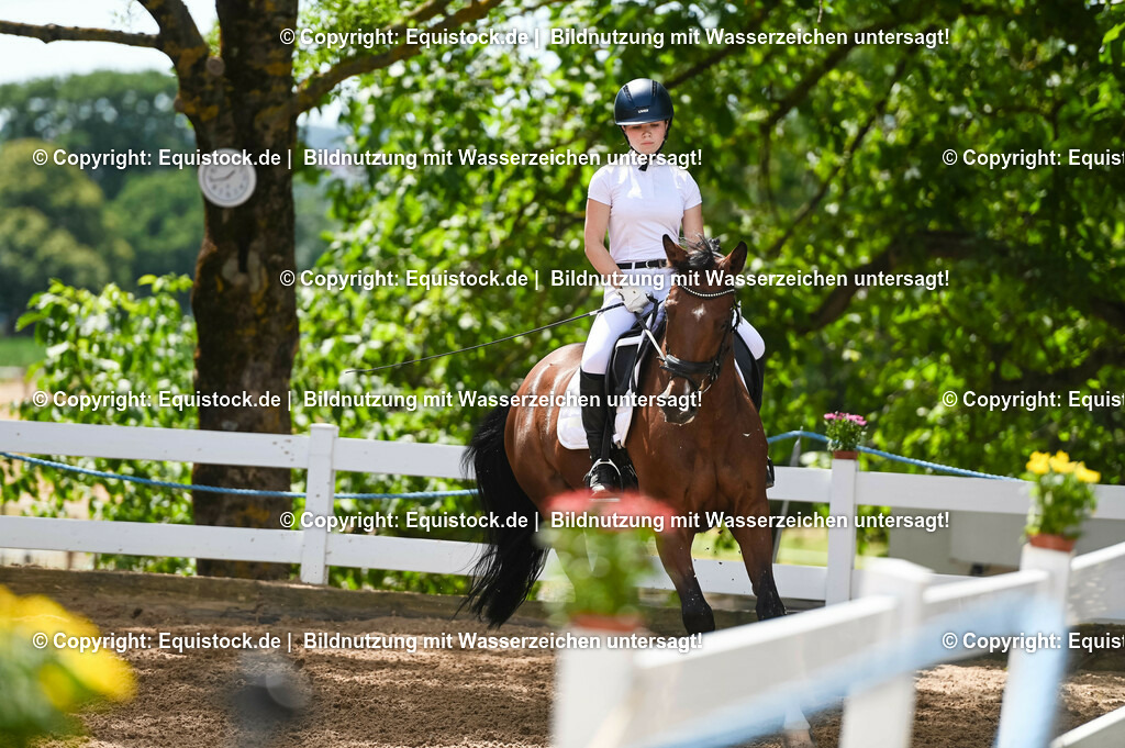 20230715_09_Dressur-WB_0154 | equistock