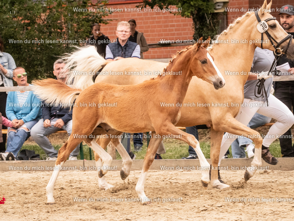 A10I2365 15.54.45 | photographylinaismer - Realisiert mit Pictrs.com