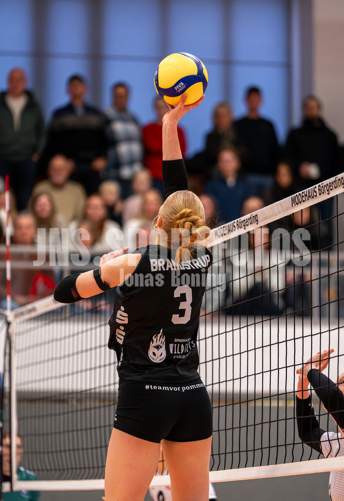 Volleyball I Frauen I Saison 2025-2026 I 2 Bundesliga Pro I 17. Spieltag VFL Oythe - VC Stralsund I 1747 | Gesa Brandstrup (3,VC Stralsund) - Realisiert mit Pictrs.com