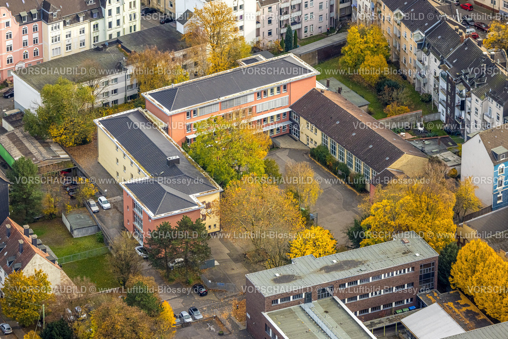 Hagen251101149 | Luftbild, Realschule Haspe, herbstliche Bäume, Haspe, Hagen, Ruhrgebiet, Nordrhein-Westfalen, Deutschland