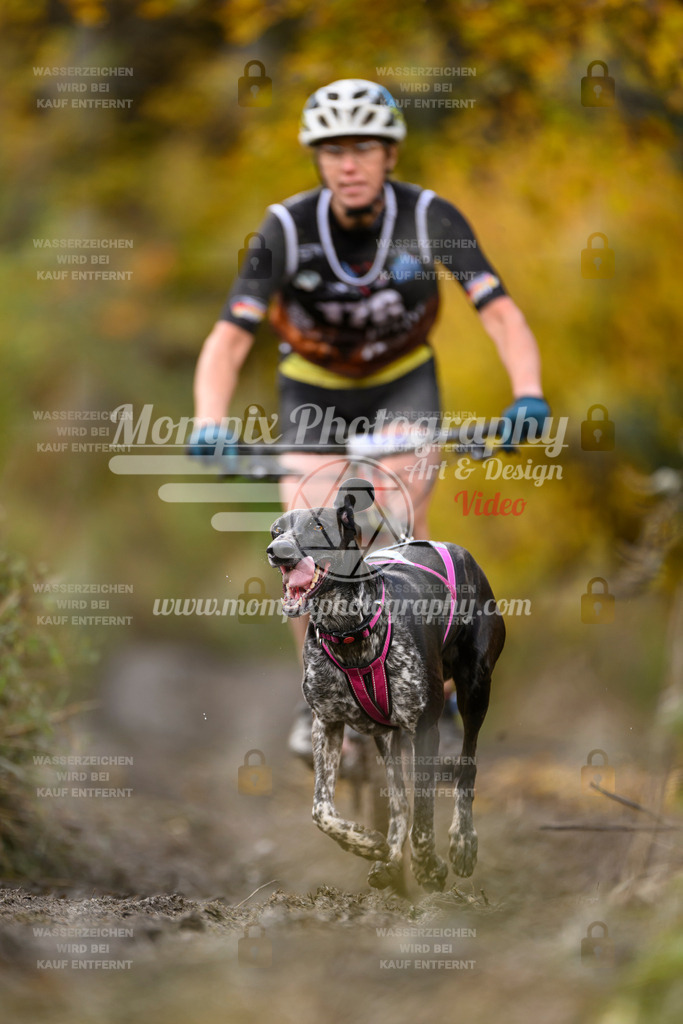MompixPhotography_ICF_WC_2024_SA_Bike_-258 | PayLife
