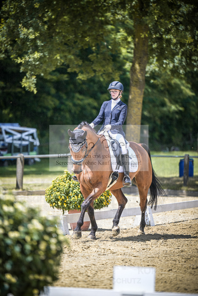 DOS_5222 | Entdecke hochwertige Reitturnierfotos von Foto Oger. Professionell, emotional und authentisch – jetzt Lieblingsmomente im Shop bestellen.Deutschlandweite Turnierfotografie. - Realisiert mit Pictrs.com