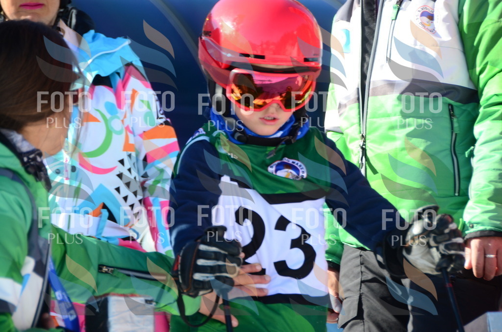 C4770 | holidayphoto