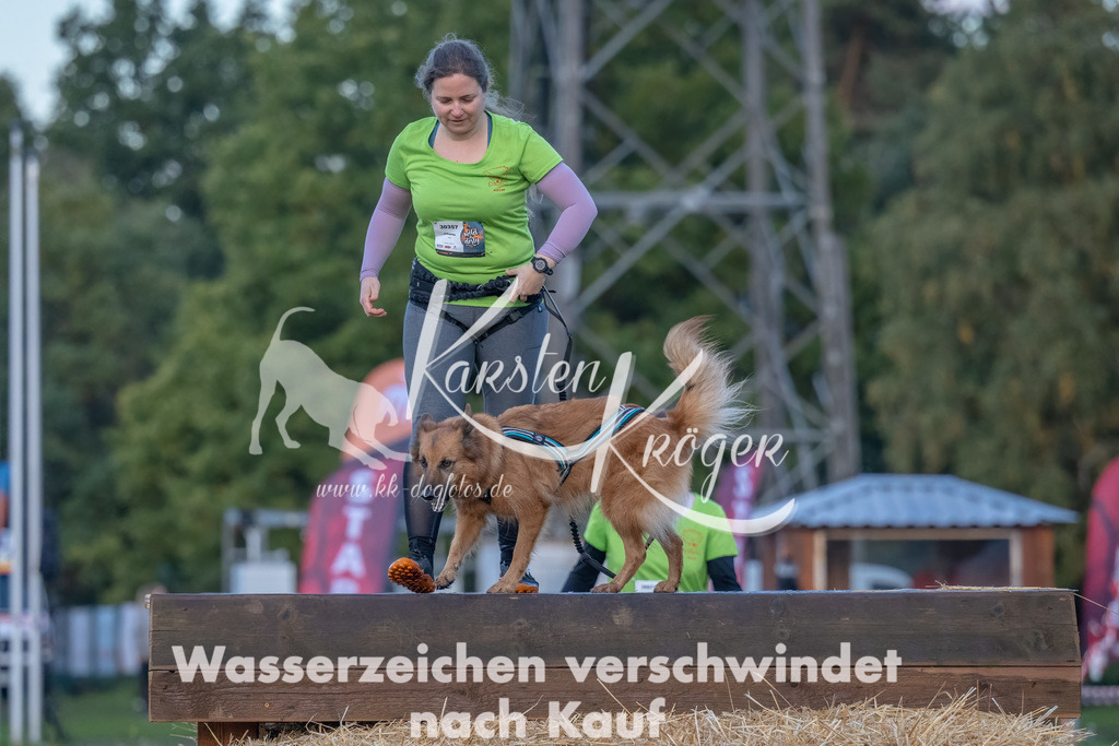 0805_ZZ94284-Bearbeitet | kk-dogfotos