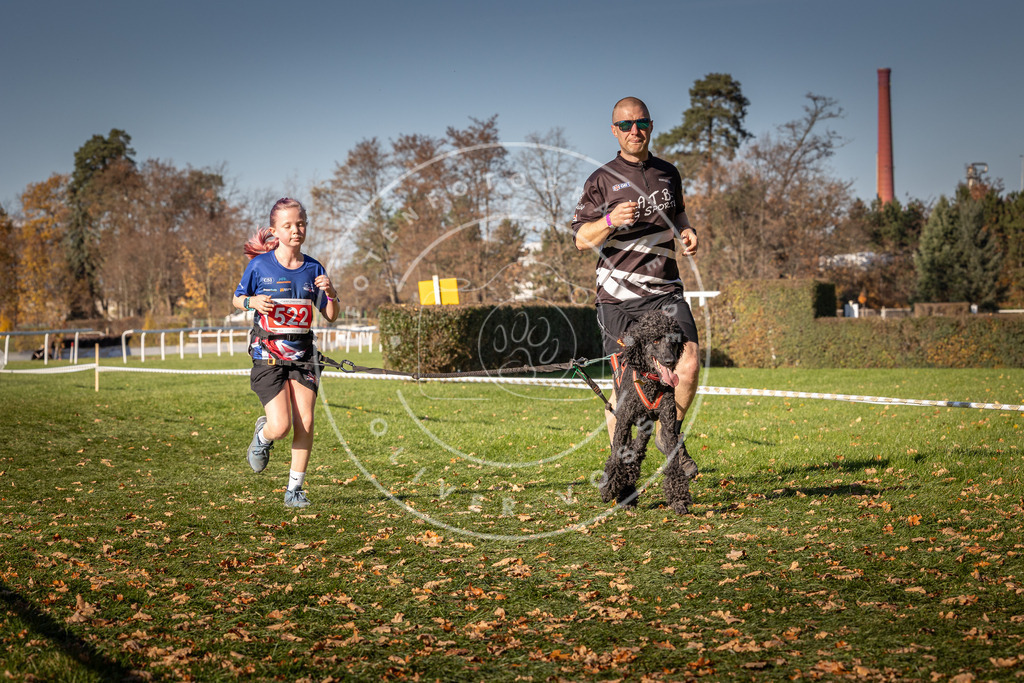 CaniXpix_0L8A7185 | Hundefotografie, Tierfotograf, Pfotenfotografie, Fotoshooting Hund, Hunde Portrait, Hundesport, Hundeportraits, Heideshooting, Hunde, Sportfotograf, Hundefotograf, Turnierhundsport, THS,  - Realisiert mit Pictrs.com