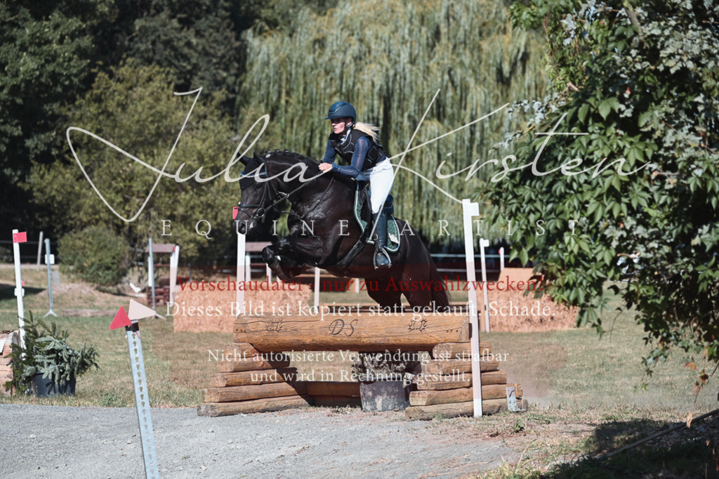 DSC_8810 | Pferde- und Turnierfotografie in Westsachsen. Pferdeportraits, Auftragszeichnungen und intuitive Kunst.