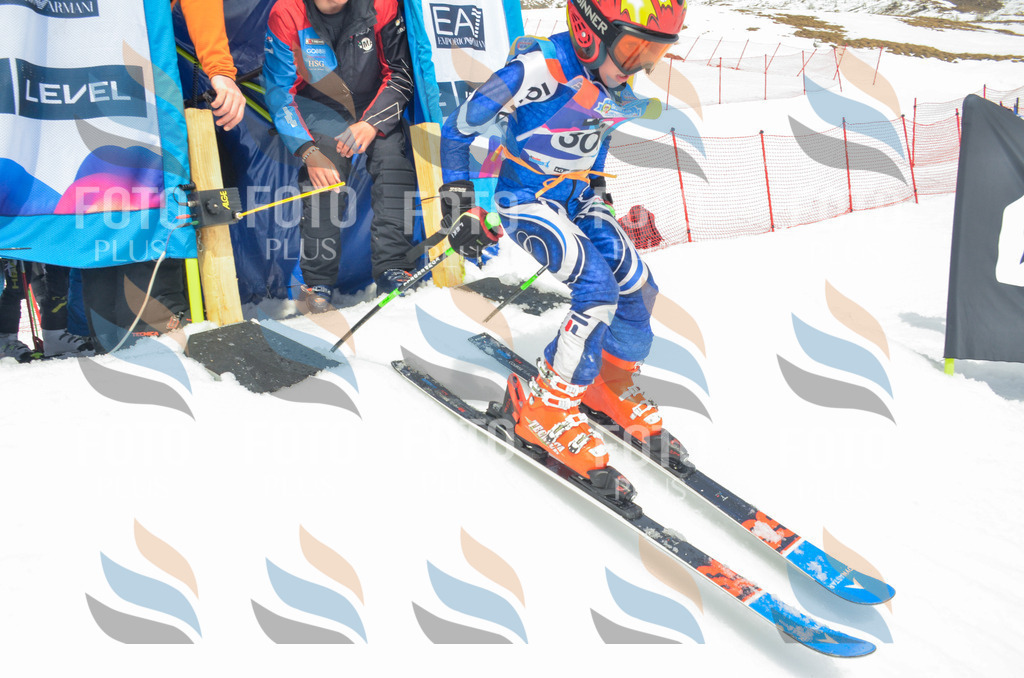 _ELE8329 | holidayphoto