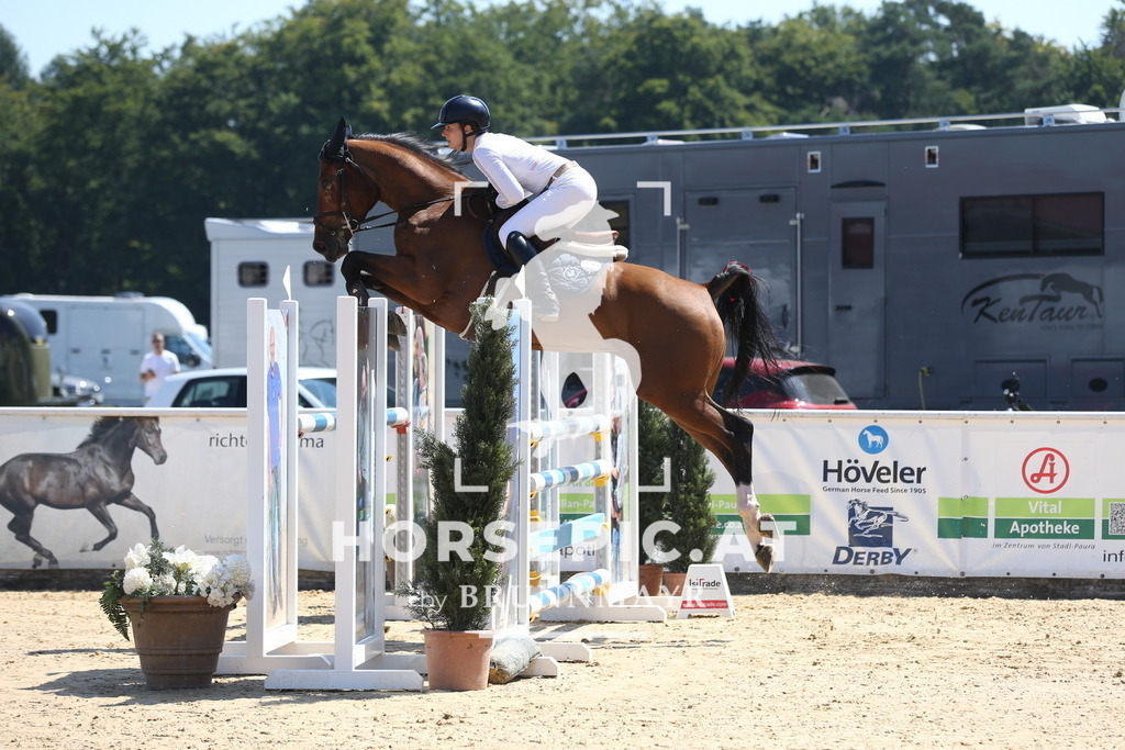 DL2Q3157 | Willkommen bei Brunnmayr - Design & Fotografie – Ihrem Spezialisten für Reitturniere und Pferdeveranstaltungen in Oberösterreich, Salzburg und Bayern! Seit über 17 Jahren sind wir leidenschaftlich dabei.