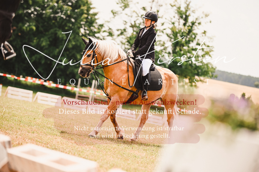 DSC_6320 | Pferde- und Turnierfotografie in Westsachsen. Pferdeportraits, Auftragszeichnungen und intuitive Kunst.