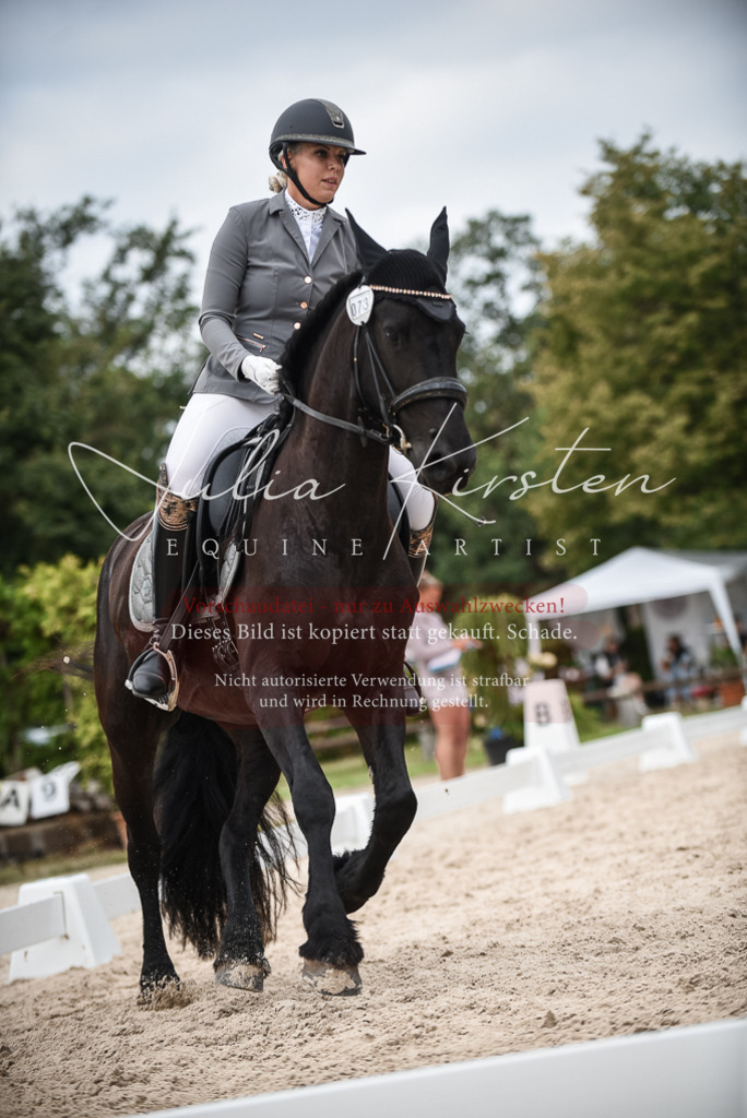 DSC_8335 | Pferde- und Turnierfotografie in Westsachsen. Pferdeportraits, Auftragszeichnungen und intuitive Kunst.