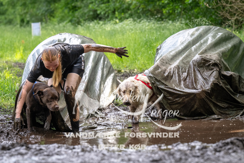 1251_ZZ93872 | kk-dogfotos