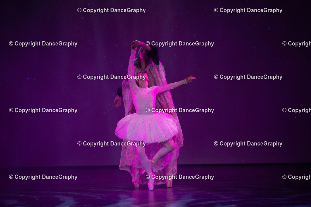 GPHY2233 | DanceGraphy - Realisiert mit Pictrs.com