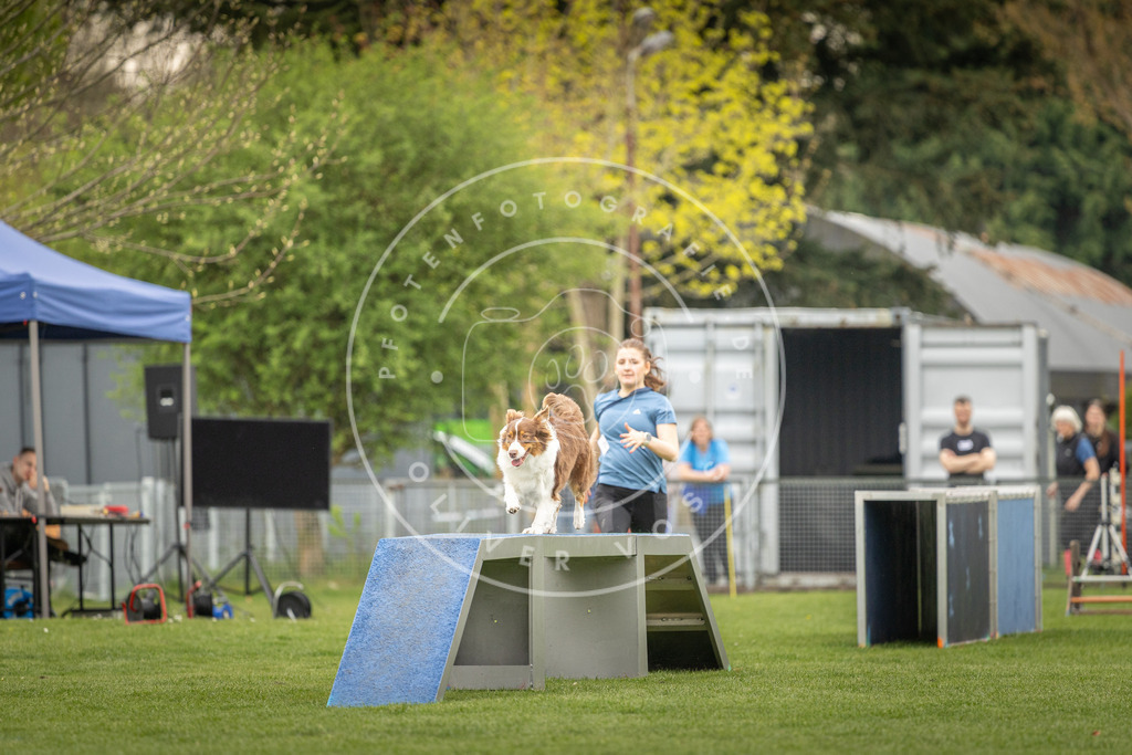 Pfotenfotografie_DV3A1517 | Hundefotografie, Tierfotograf, Pfotenfotografie, Fotoshooting Hund, Hunde Portrait, Hundesport, Hundeportraits, Heideshooting, Hunde, Sportfotograf, Hundefotograf, Turnierhundsport, THS,  - Realisiert mit Pictrs.com
