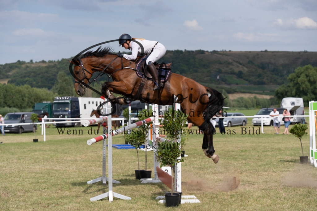 A7V02625 | Pferdefotograf