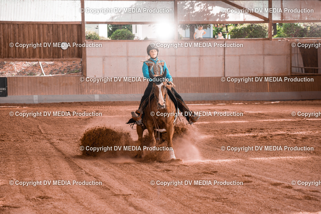 NE201151 | dv-media-shop - Realisiert mit Pictrs.com