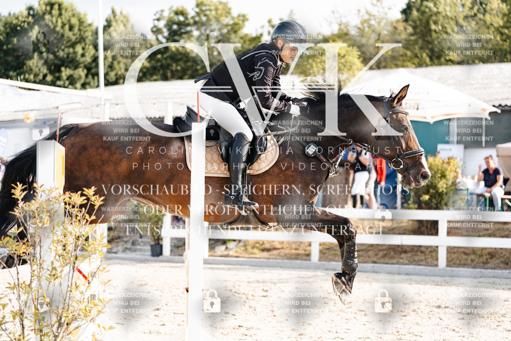 CK903173 | Turnierfotografie Pferdefotografie Trier Rheinland-Pfalz Pferdesport Reitsport Tierfotografie Sportfotografie Pferdevideo Pferdevideografie Equestrianvideography equestrianphotography  - Realisiert mit Pictrs.com