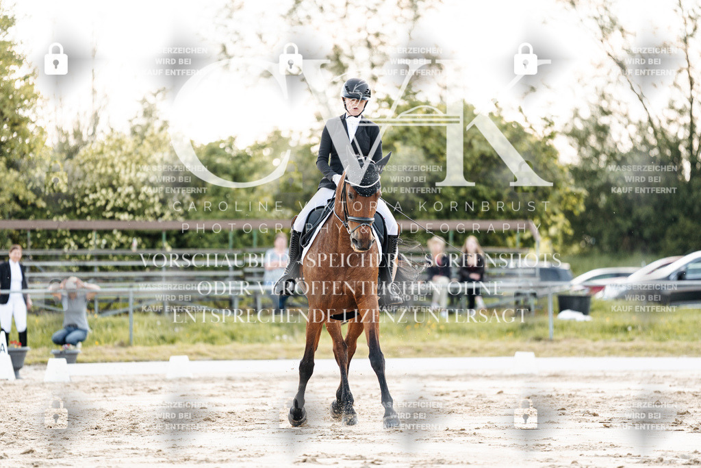CK909655 | Turnierfotografie Pferdefotografie Trier Rheinland-Pfalz Pferdesport Reitsport Tierfotografie Sportfotografie Pferdevideo Pferdevideografie Equestrianvideography equestrianphotography  - Realisiert mit Pictrs.com
