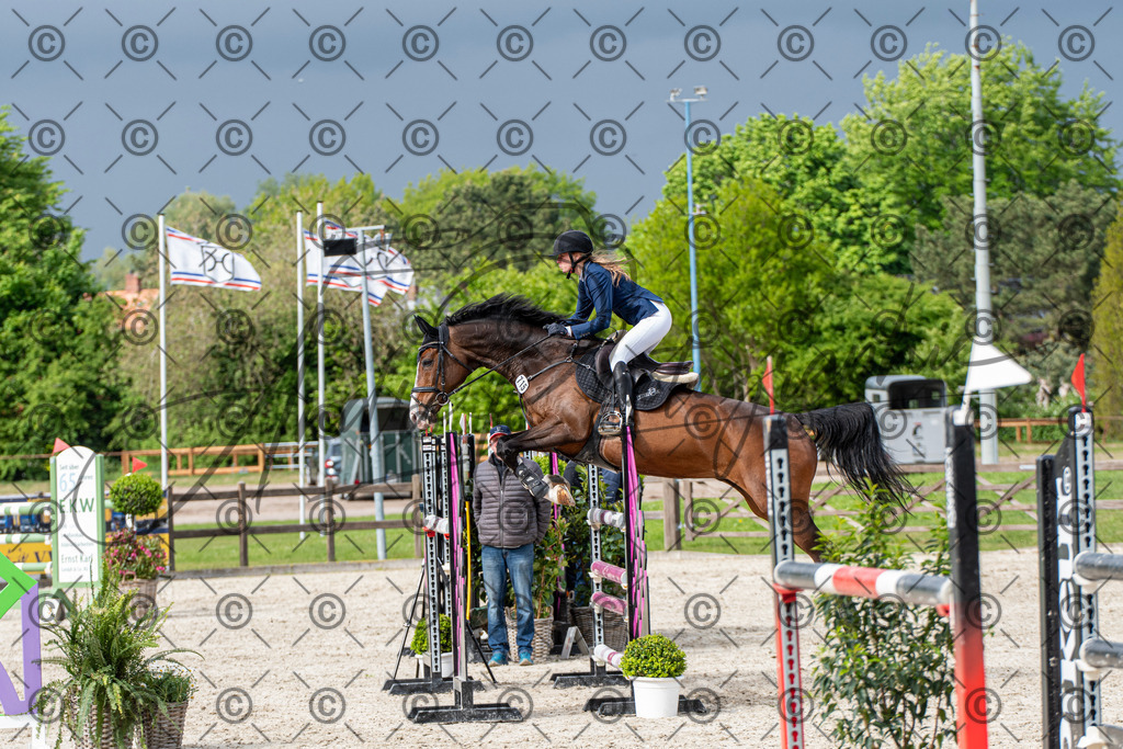 KPT_0214 | andre_photographic