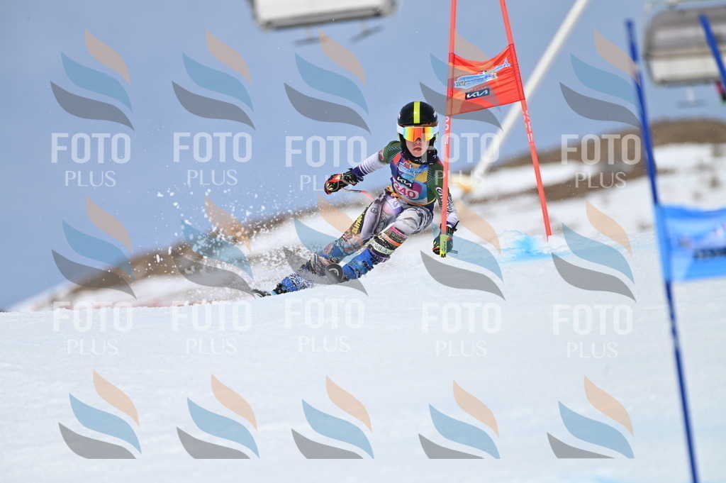 BGV_1690 | holidayphoto