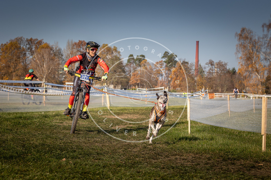 CaniXpix_0L8A7881 | Hundefotografie, Tierfotograf, Pfotenfotografie, Fotoshooting Hund, Hunde Portrait, Hundesport, Hundeportraits, Heideshooting, Hunde, Sportfotograf, Hundefotograf, Turnierhundsport, THS,  - Realisiert mit Pictrs.com