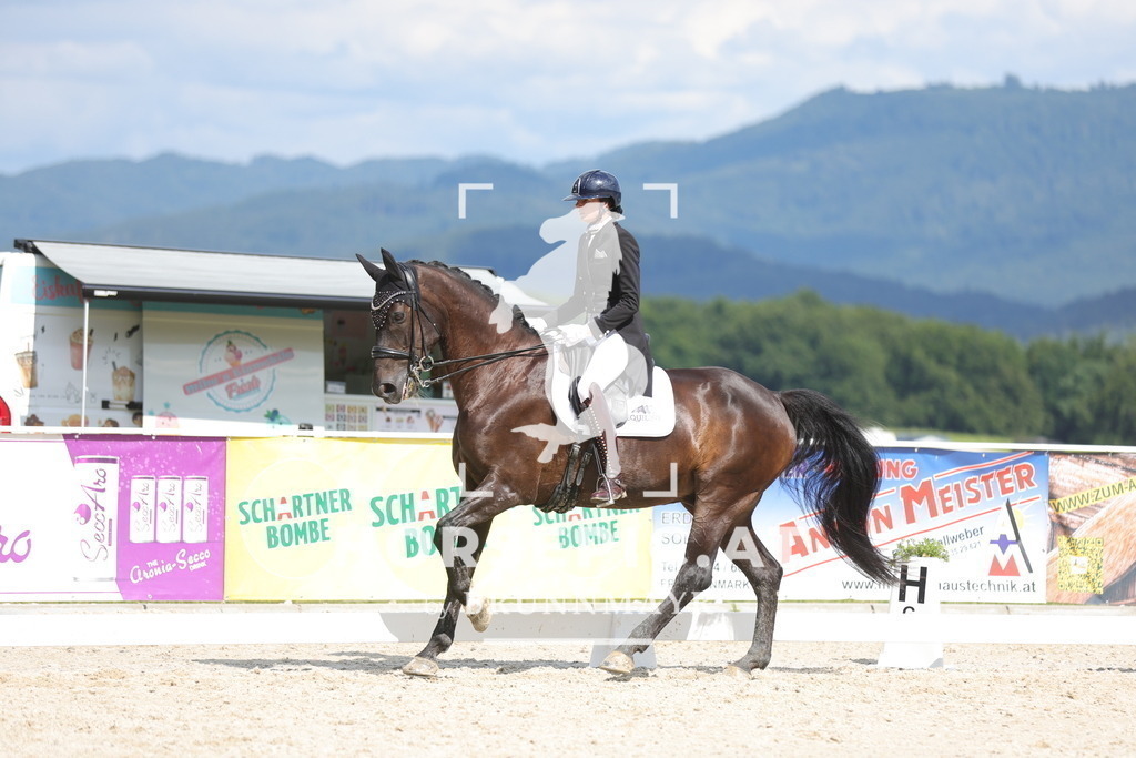 0P6A6235 | Willkommen bei Brunnmayr - Design & Fotografie – Ihrem Spezialisten für Reitturniere und Pferdeveranstaltungen in Oberösterreich, Salzburg und Bayern! Seit über 17 Jahren sind wir leidenschaftlich dabei.