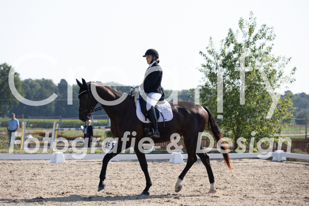 IMG_3379 | Creatify Fotografie