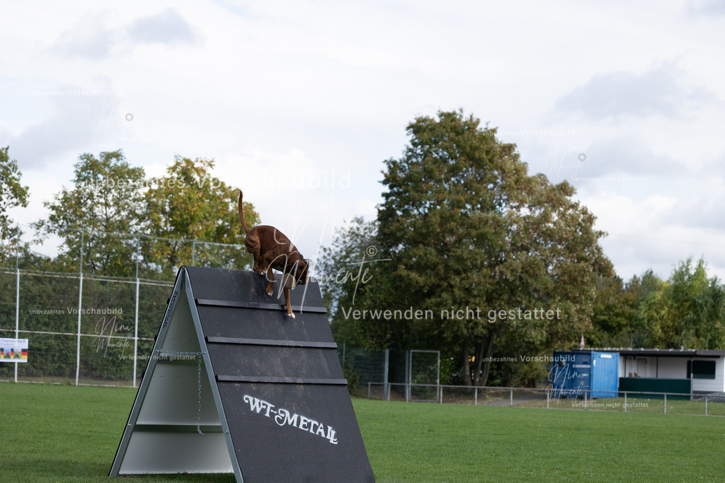 _16A6786 | Einzigartige Fotos von Hunden & Menschen –Actionfotos, Portraits, Vereinsaufnahmen & Paarshootings – authentisch, lebendig & mit Herz.