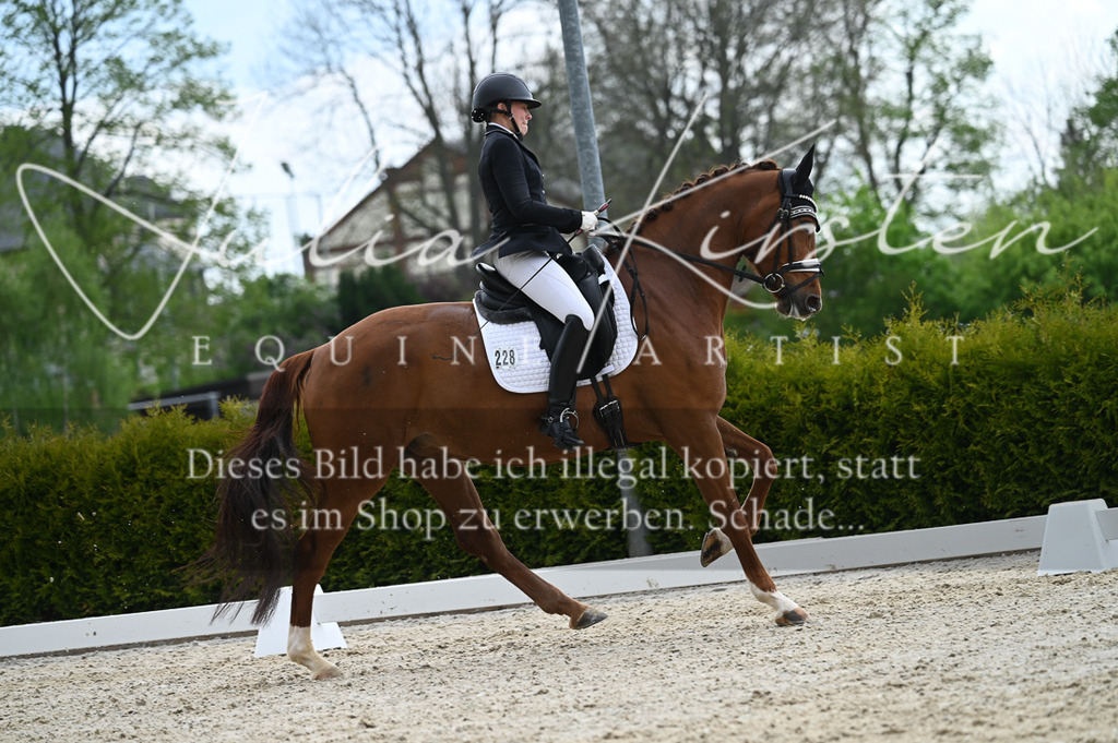 20230512_JK-Röhrsdorf-03-079 | Pferde- und Turnierfotografie in Westsachsen. Pferdeportraits, Auftragszeichnungen und intuitive Kunst.