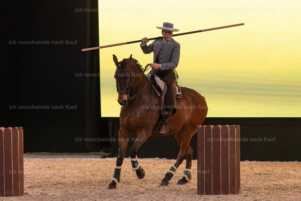 JoseraCup-119 | working equitationturnier fotograf videograf stoibphotography marixx film working equitation deutschland reitsport turnierfotografie eventfotografie equestrian events