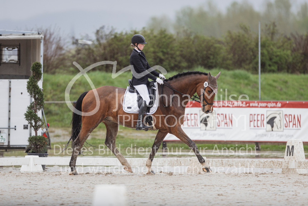 240401_Fruehlingsfest_A1-Dressur-414 | Deine schönsten Turniermomente als professionelle Fotos! Entdecke hochwertige Pferdesport-Fotografie im Online-Shop. Jetzt Fotos finden & bestellen!