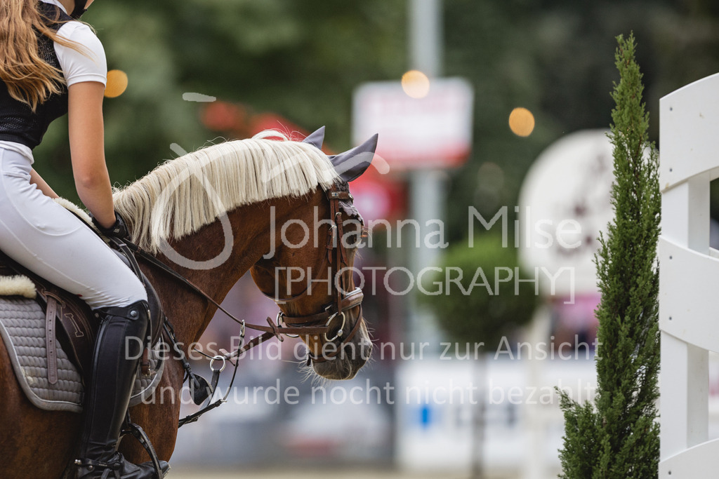 230824_Delbrueck_PonyTrophy-251 | Deine schönsten Turniermomente als professionelle Fotos! Entdecke hochwertige Pferdesport-Fotografie im Online-Shop. Jetzt Fotos finden & bestellen!